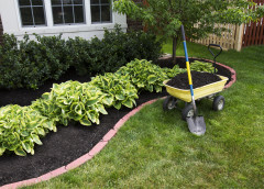 Mulch