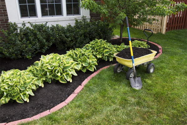 Mulch